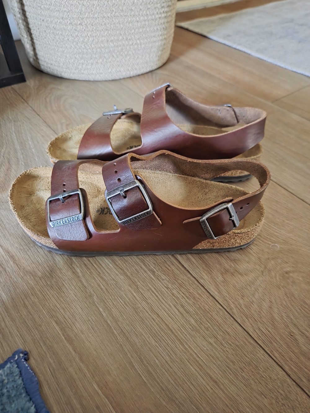 Birkenstock Brown Leather Two-Strap Men’s Sandals with Backstrap